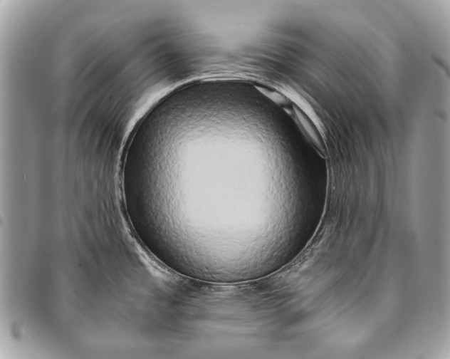 X0000096221485200802081514