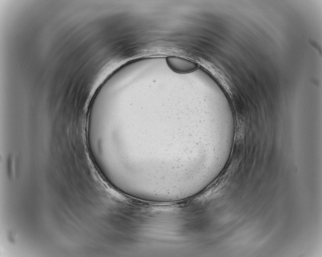 X0000096221486200802081514