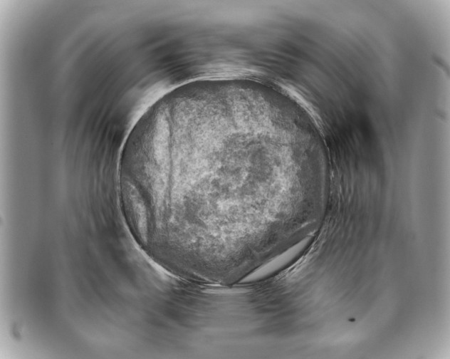 X0000096221487200802081514