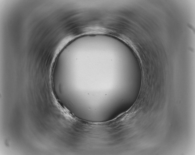 X0000096221488200802081514