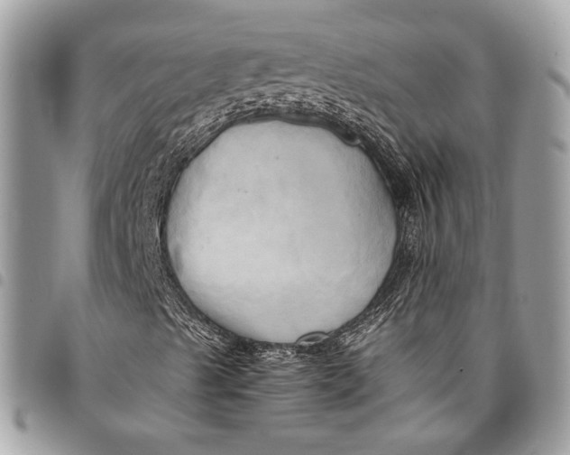 X0000096221489200802081513