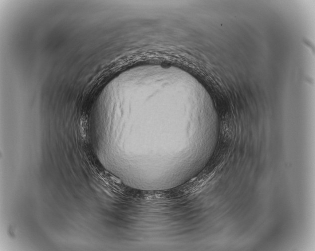 X0000096221490200802081513