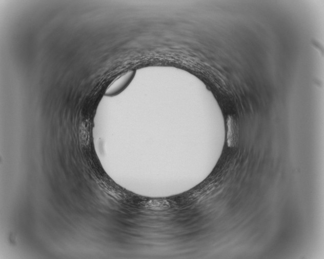 X0000096221491200802081513