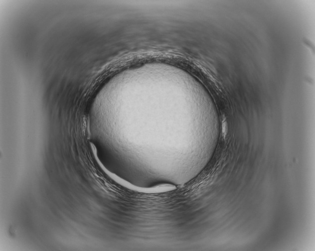 X0000096221492200802081513