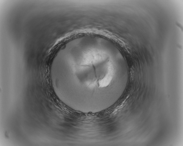 X0000096221494200802081513