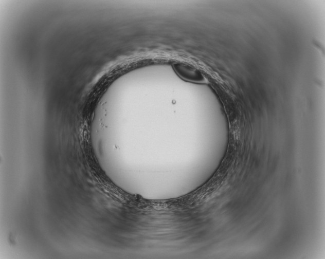 X0000096221495200802081513