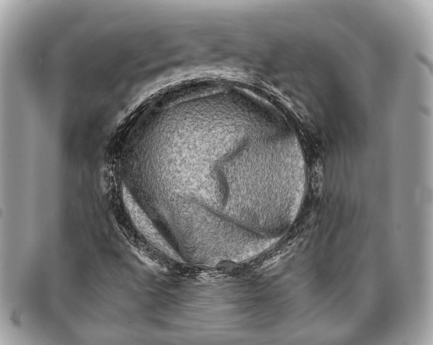 X0000096221496200802081513