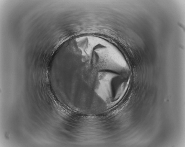 X0000096221497200802081513