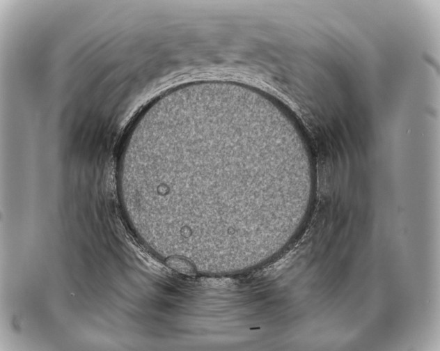 X0000096221498200802081513