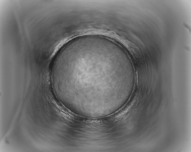 X0000096221501200802081513