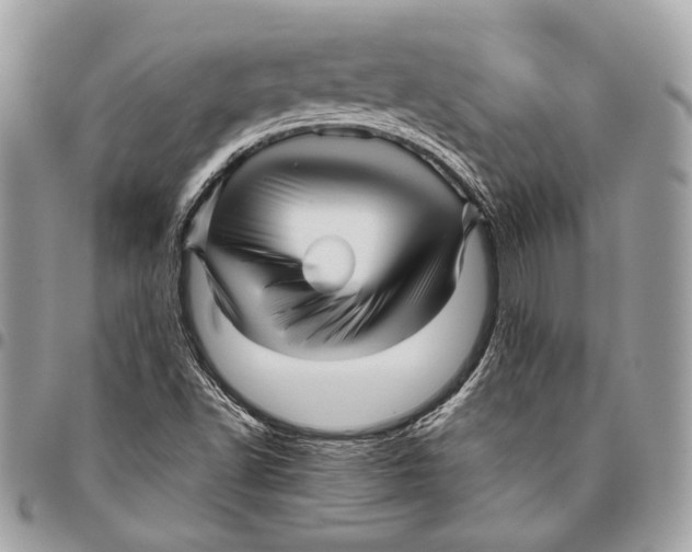 X0000096221502200802081513