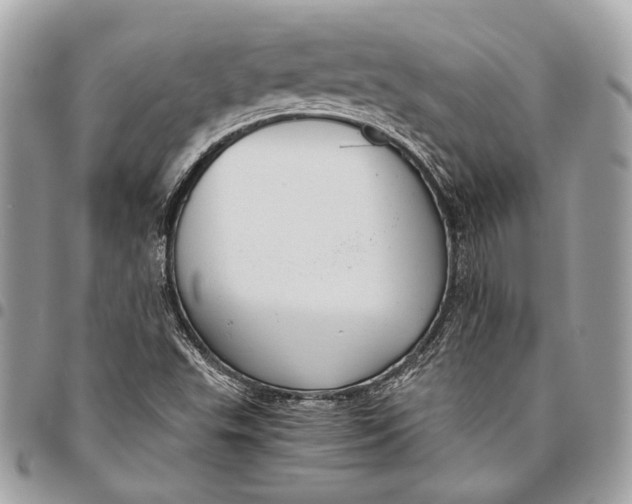 X0000096221503200802081513