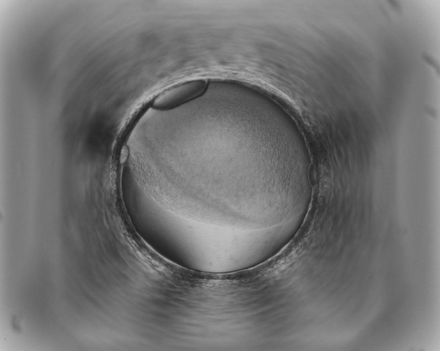 X0000096221506200802081513