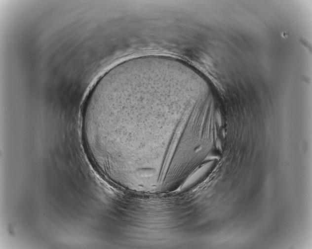 X0000096221508200802081513