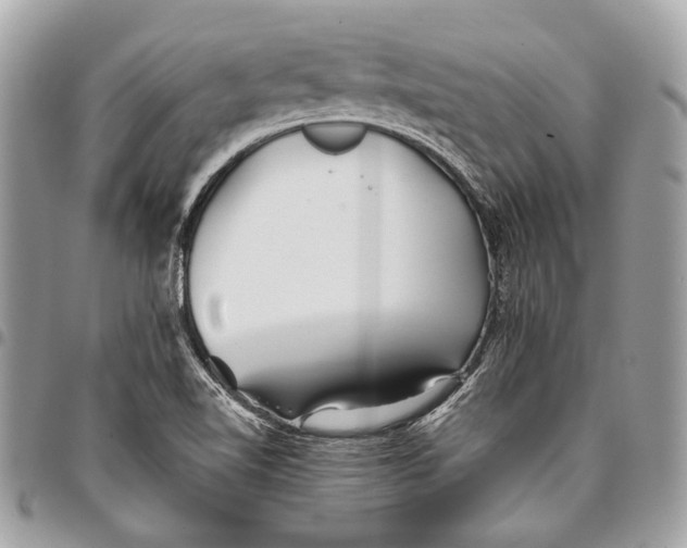 X0000096221510200802081513