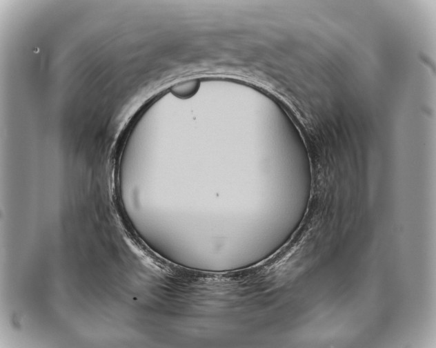 X0000096221511200802081513