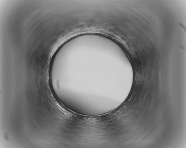 X0000096221512200802081514