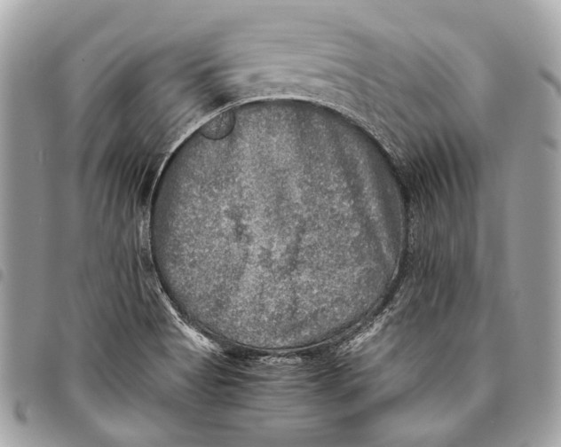 X0000096221513200802081514