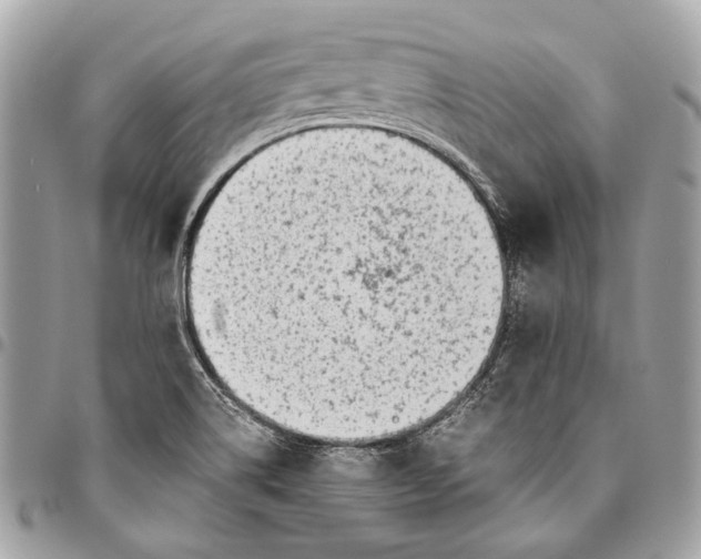 X0000096221514200802081514