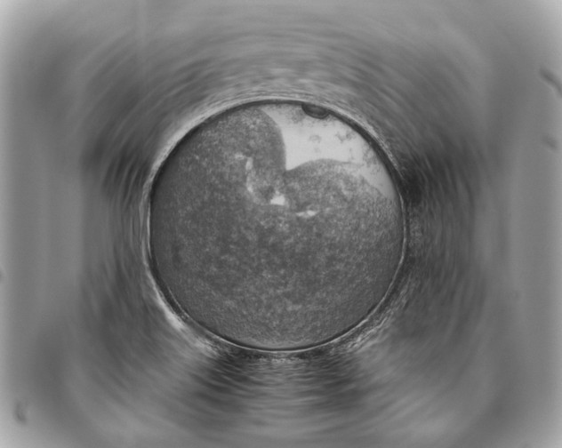 X0000096221515200802081514