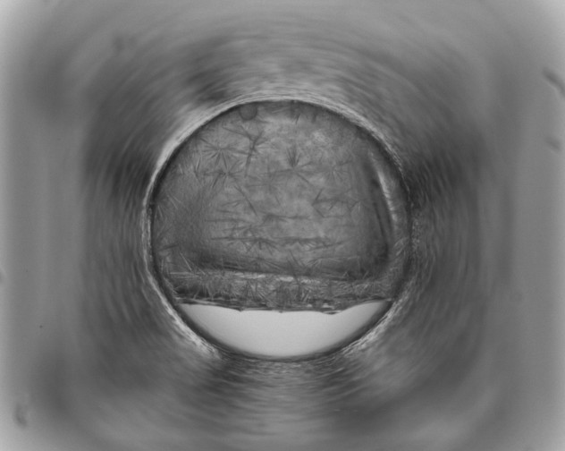 X0000096221517200802081514