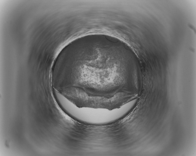 X0000096221519200802081514