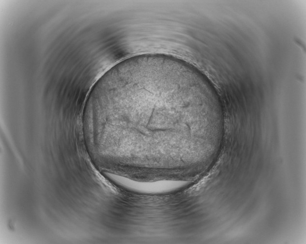 X0000096221521200802081514