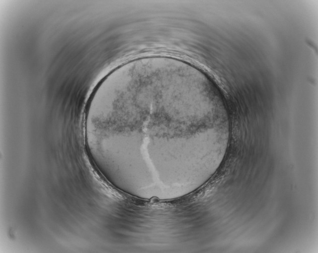 X0000096221522200802081514