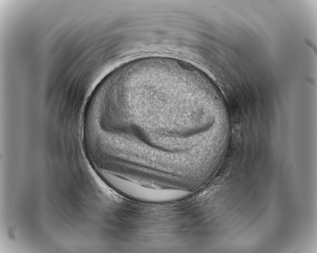 X0000096221523200802081514