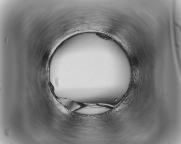 X0000096221524200802081514