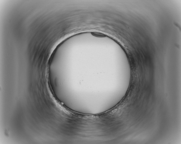 X0000096221526200802081514