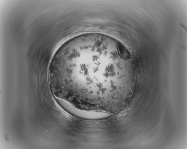 X0000096221527200802081514