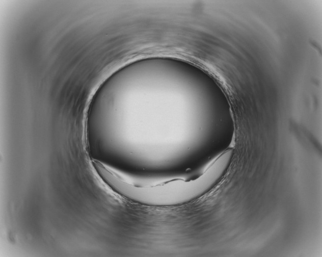 X0000096221528200802081514