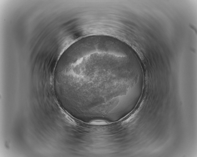 X0000096221529200802081514