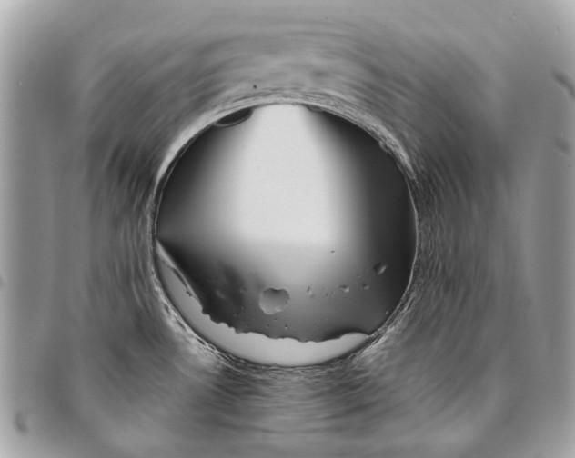 X0000096221530200802081514