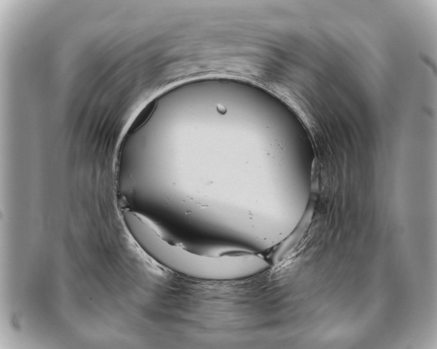 X0000096221532200802081514