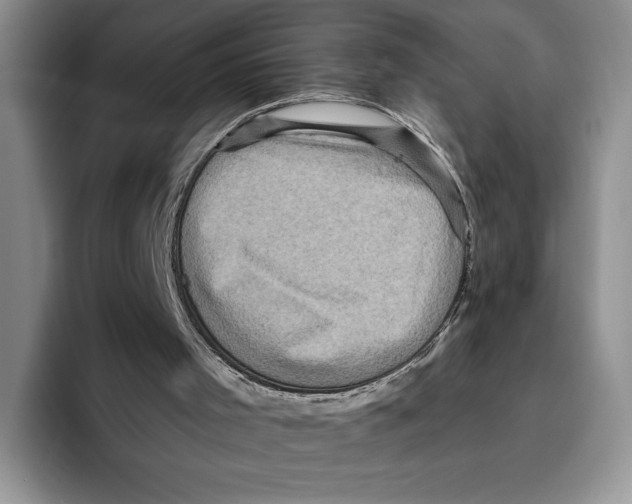 X0000096220001200802151531