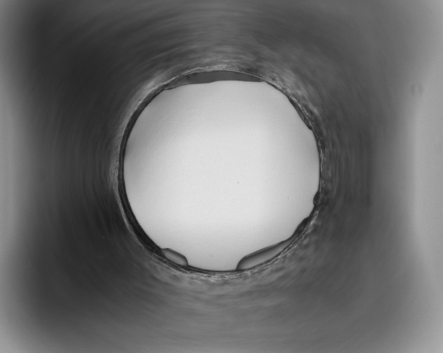 X0000096220003200802151531