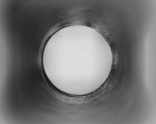 X0000096220004200802151531