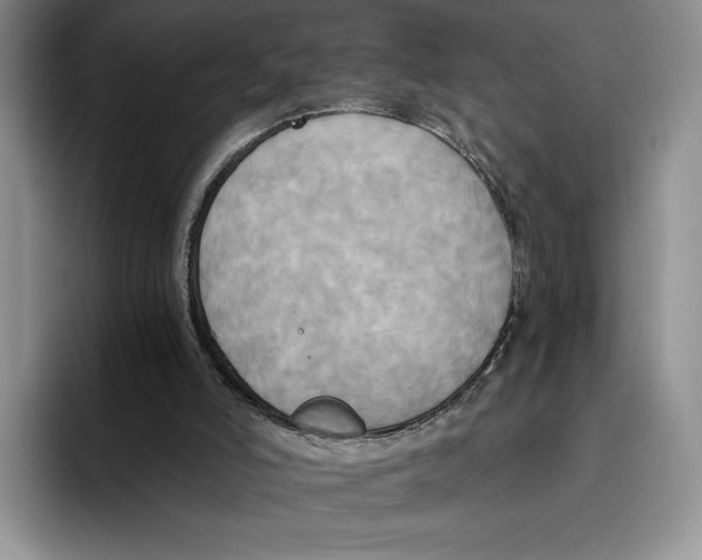 X0000096220006200802151531