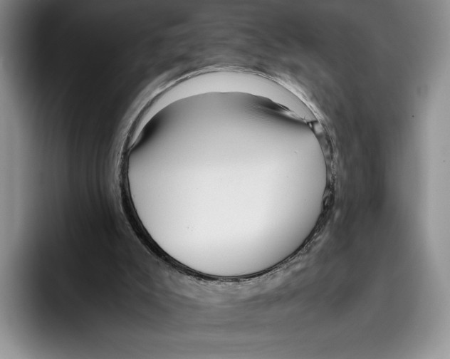 X0000096220007200802151531