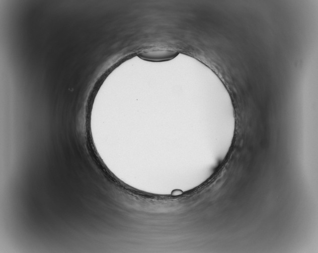 X0000096220008200802151531