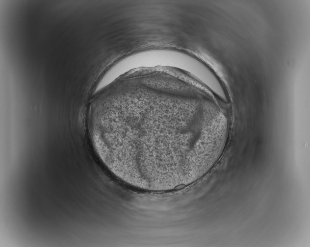 X0000096220009200802151531