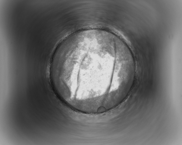 X0000096220010200802151531