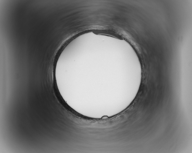 X0000096220011200802151531