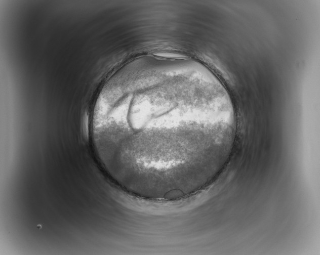 X0000096220014200802151531