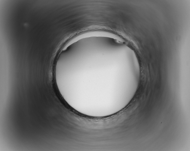 X0000096220015200802151531