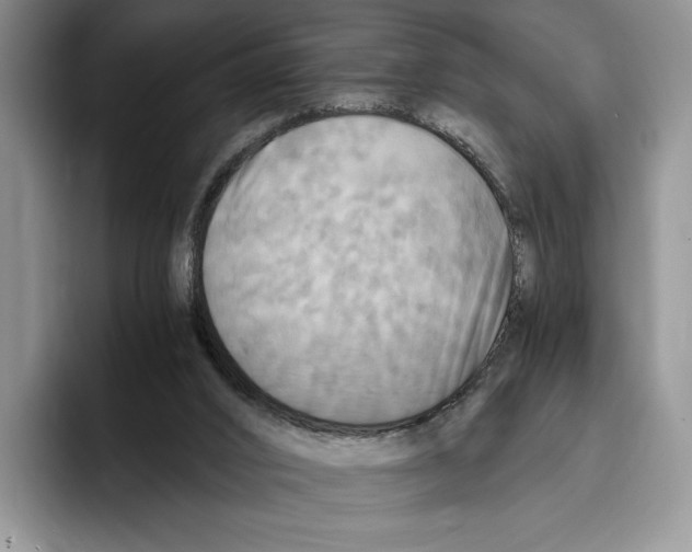 X0000096220016200802151531