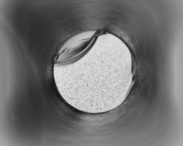 X0000096220017200802151531