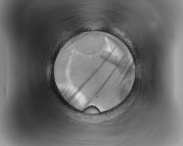 X0000096220018200802151531